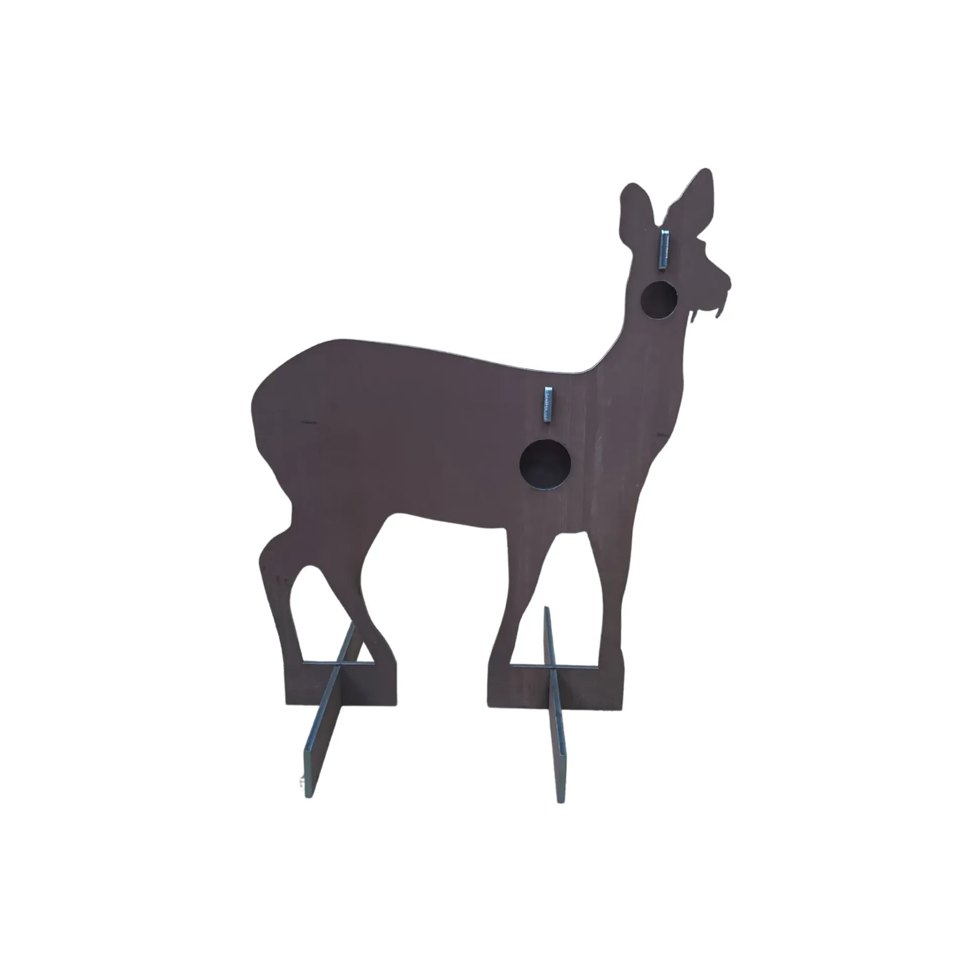 Chinese Water Deer