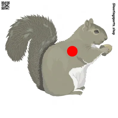 [SSSTGT0020a] Squirrel Targets